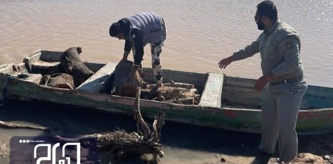 ماهیگیرانی که چوب جنگلی صید می‌کنند