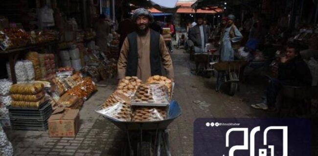 حضور بی‌قاعده اتباع افغان در بوشهر نگران کننده است