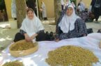 برگزاری نخستین جشنواره توت در روستای تاریخی ترکان شهرستان مروست