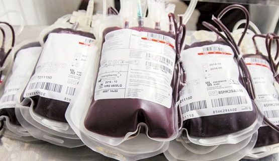 اهدای خون در قم ۱۰ درصد افزایش یافت