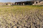 بروز ۴ نوع خشکسالی در لرستان/ کشاورزان غیربومی آب‌وخاک منطقه را تاراج کردند