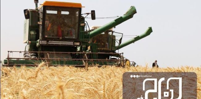 ۶۵ میلیارد تومان به گندمکاران بوشهری پرداخت شده است