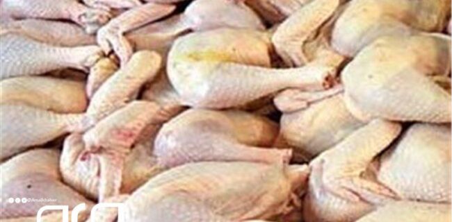 ۴۰ هزار تن گوشت مرغ در استان بوشهر تولید شد