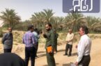 ۱۷ کیلومتر جاده بین مزارع در استان بوشهر احداث شد