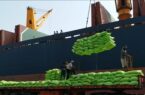 ۳۱ هزار تن برنج محموله کشتی تجاری از بندر بوشهر به نقاط مختلف کشور حمل شد