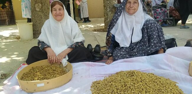 برگزاری نخستین جشنواره توت در روستای تاریخی ترکان شهرستان مروست