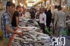 بازار ماهی فروشان بوشهر ساماندهی و دو بازارچه عرضه آبزیان ایجاد می‌شود