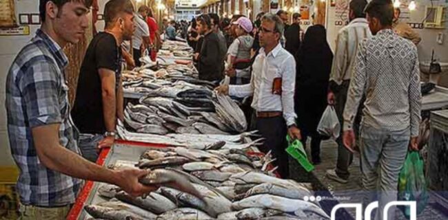 بازار ماهی فروشان بوشهر ساماندهی و دو بازارچه عرضه آبزیان ایجاد می‌شود