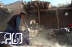 تعداد قربانیان زلزله افغانستان ممکن است فراتر از ۱۰۰۰ تن شود