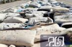 انهدام ۲۴ باند کلان مواد مخدر در استان بوشهر/ کشف ۴۳۸۰ هزار ‌کیلوگرم انواع مواد مخدر
