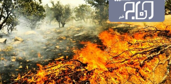 شناسایی برخی از کانون های مستعد آتش سوزی در جنگل های ایلام