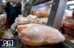 کاهش قیمت مرغ از امروز مردم راضی، مرغ‌داران ناراضی