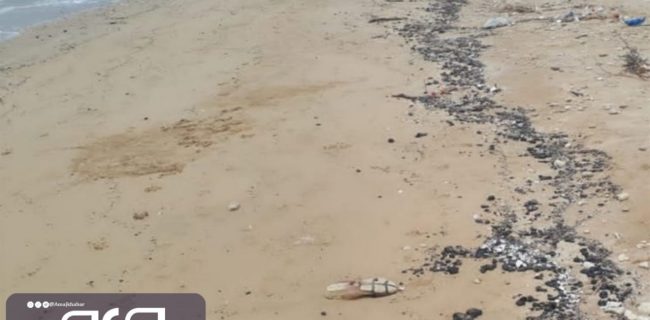 لکه‌های نفتی سبب آلودگی سواحل شهرستان‌های جنوبی استان بوشهر شد