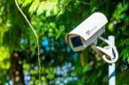 جلوگیری از قاچاق چوب با نصب ۵۰ دوربین در جنگل‌های کشور