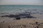 آلودگی نفتی در سواحل استان بوشهر از چالش‌های زیست محیطی دریایی است