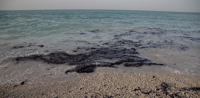 آلودگی نفتی در سواحل استان بوشهر از چالش‌های زیست محیطی دریایی است