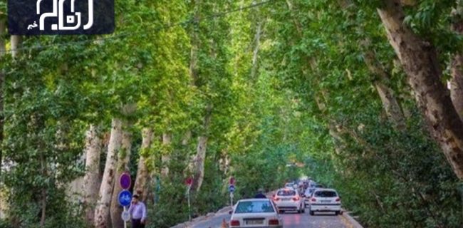 ماجرای آبیاری درختان اصفهان با مواد نفتی | واکنش سازمان پارک‌های اصفهان