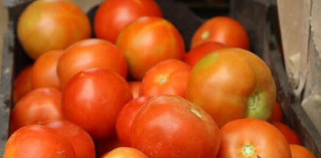 تعرفه صادرات گوجه فرنگی به نیم درصد رسید