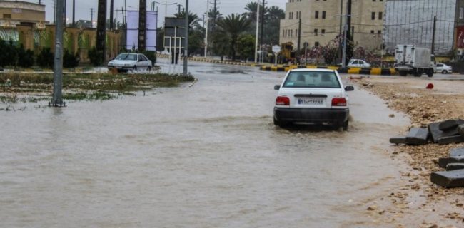 بارش باران در استان بوشهر