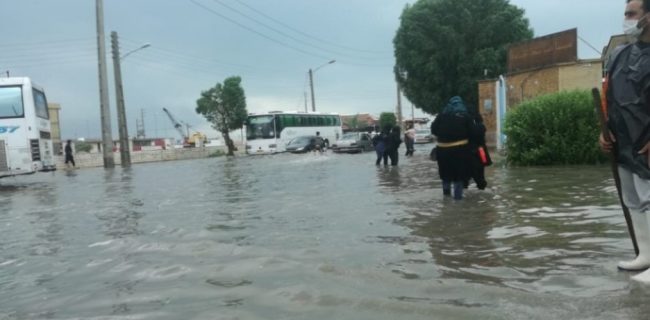 بارش  ۸۸ میلیمتری باران در گناوه