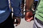 دستگیری ۱۵ سارق حرفه‌ای در ایلام