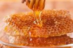 ۳۵۰۰ تن عسل در استان همدان تولید شد