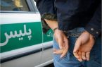 دستگیری ۲ سارق باغات گنجنامه همدان