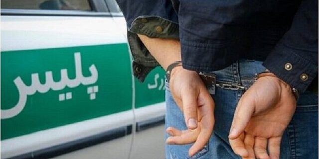 دستگیری ۲ سارق باغات گنجنامه همدان