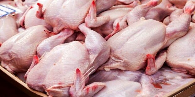 توزیع ۱۲۵ تن گوشت مرغ گرم و منجمد در لرستان